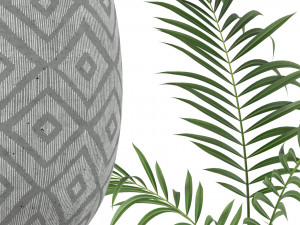 Plants collection 215 3Dモデル