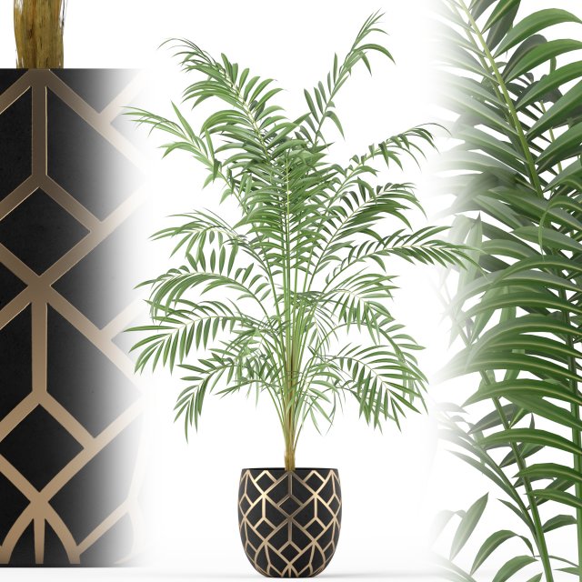 Plants collection 216 3D Модель .c4d .max .obj .3ds .fbx .stl .blend 