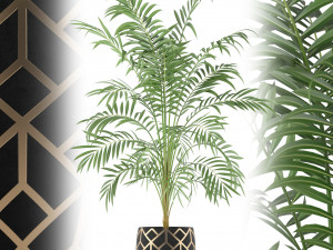 Plants collection 216 3D Model