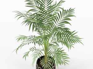 Plants collection 216 3D Модель