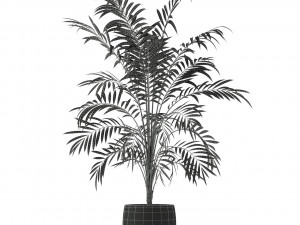Plants collection 216 3D Модель