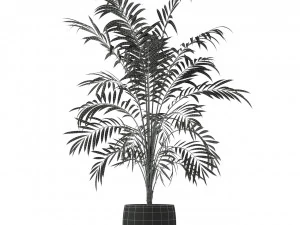 Plants collection 216 3D Model