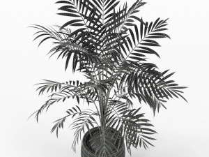 Plants collection 216 3D Model