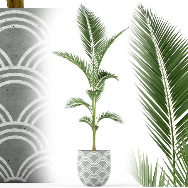 Plants collection 217 Modello 3D .c4d .max .obj .3ds .fbx .stl .blend 