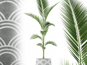 Plants collection 217 3D Model