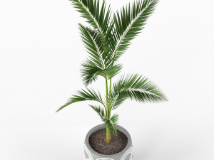 Plants collection 217 Modello 3D