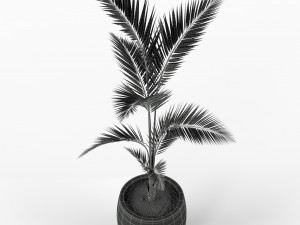 Plants collection 217 Modello 3D