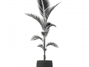 Plants collection 217 Modello 3D