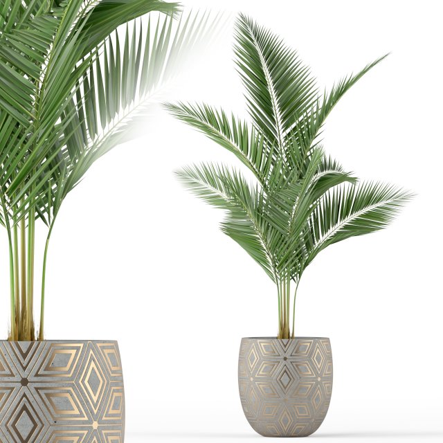 Plants collection 218 Modello 3D .c4d .max .obj .3ds .fbx .stl .blend