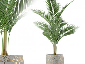 Коллекция растений 218 3D Модель