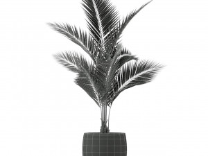 Plants collection 218 Modello 3D