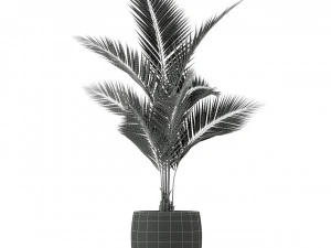 Plants collection 218 3D Model