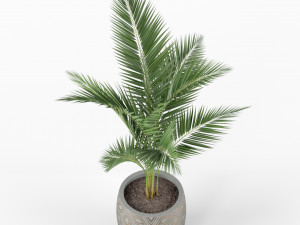 Plants collection 218 Modello 3D