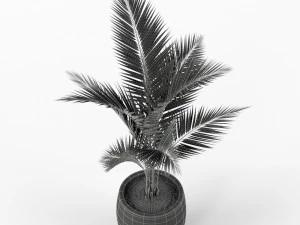 Plants collection 218 3D Model