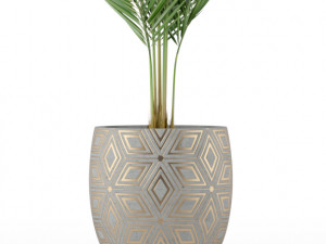 Plants collection 218 Modello 3D