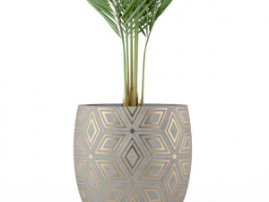Plants collection 218 3D Model