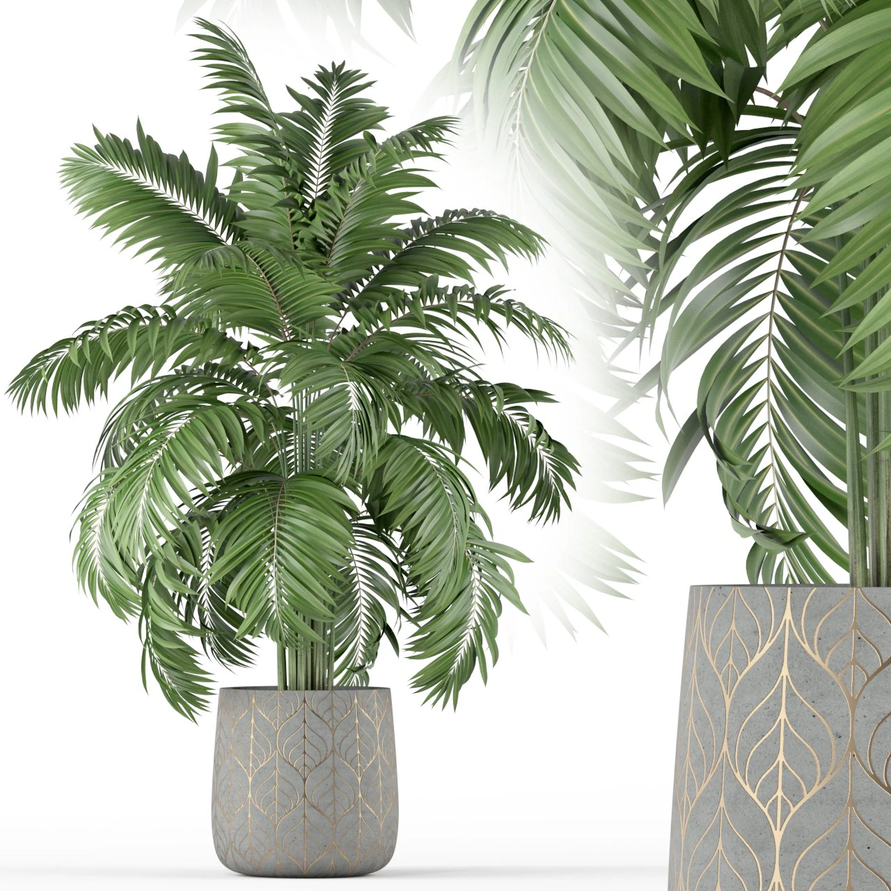 Plants collection 219 3D Model .c4d .max .obj .3ds .fbx .stl .blend 