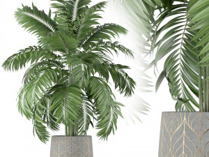 Kolekcja roślin 219 Model 3D