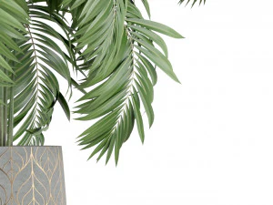 Plants collection 219 3D Model