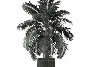 Plants collection 219 3D Model