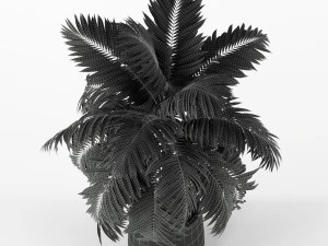 Plants collection 219 3D Model