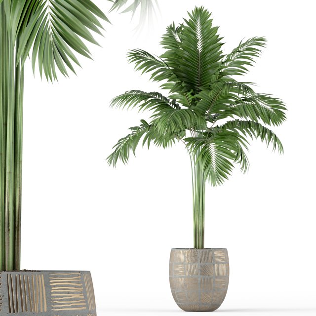 Plants collection 220 3Dモデル .c4d .max .obj .3ds .fbx .stl .blend 