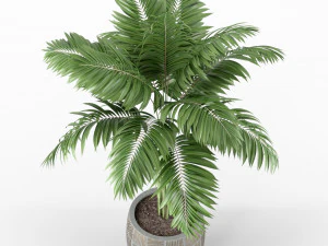 Plants collection 220 3D Model