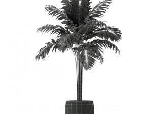 Plants collection 220 3Dモデル
