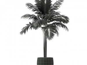 Plants collection 220 3D Model
