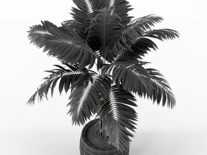 Plants collection 220 3D Model