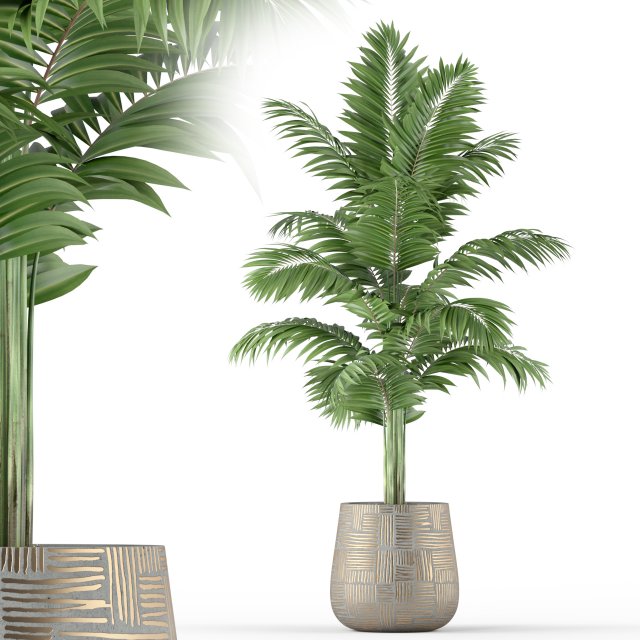 Plants collection 221 3D Model .c4d .max .obj .3ds .fbx .stl .blend 