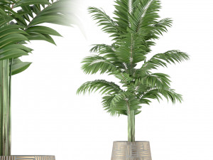 Plants collection 221 3D Model