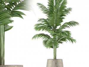 Colecci&oacute;n de plantas 221 Modelo 3D