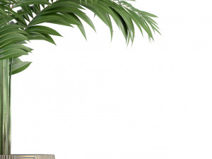 Plants collection 221 3D Model