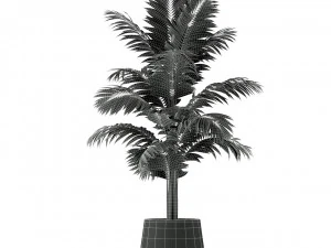 Plants collection 221 3D Model