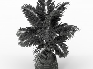 Plants collection 221 3D Model