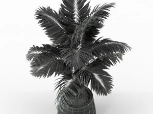 Plants collection 221 3D Model