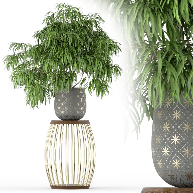 Plants collection 222 3D Модель .c4d .max .obj .3ds .fbx .stl .blend