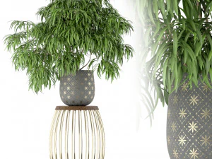 Pflanzensammlung 222 3D Modell