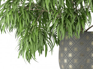 Plants collection 222 3D Модель