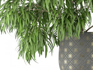 Plants collection 222 3D Model
