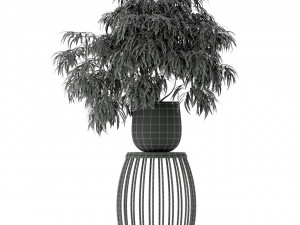 Plants collection 222 3D Модель