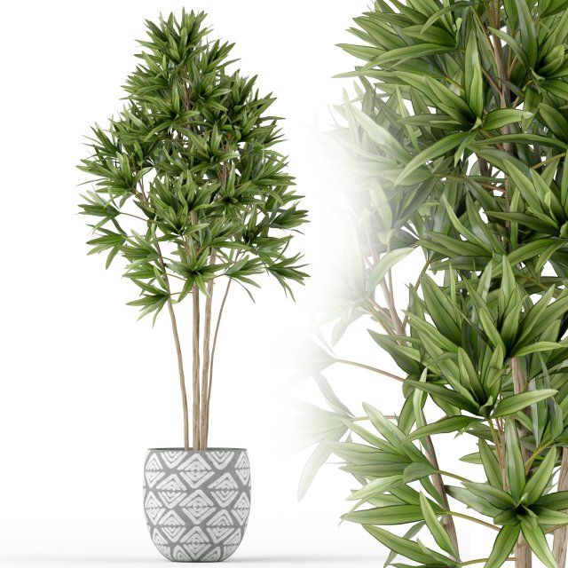 Plants collection 223 Modello 3D .c4d .max .obj .3ds .fbx .stl .blend 