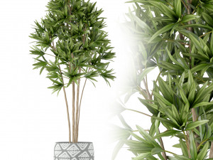 Plants collection 223 3D मॉडल