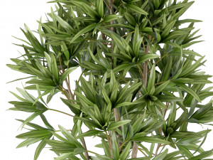 Plants collection 223 Modello 3D