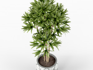 Plants collection 223 Modello 3D