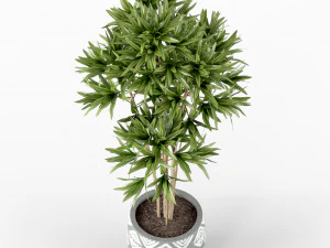Plants collection 223 3D Model