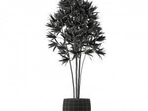 Plants collection 223 3D Model