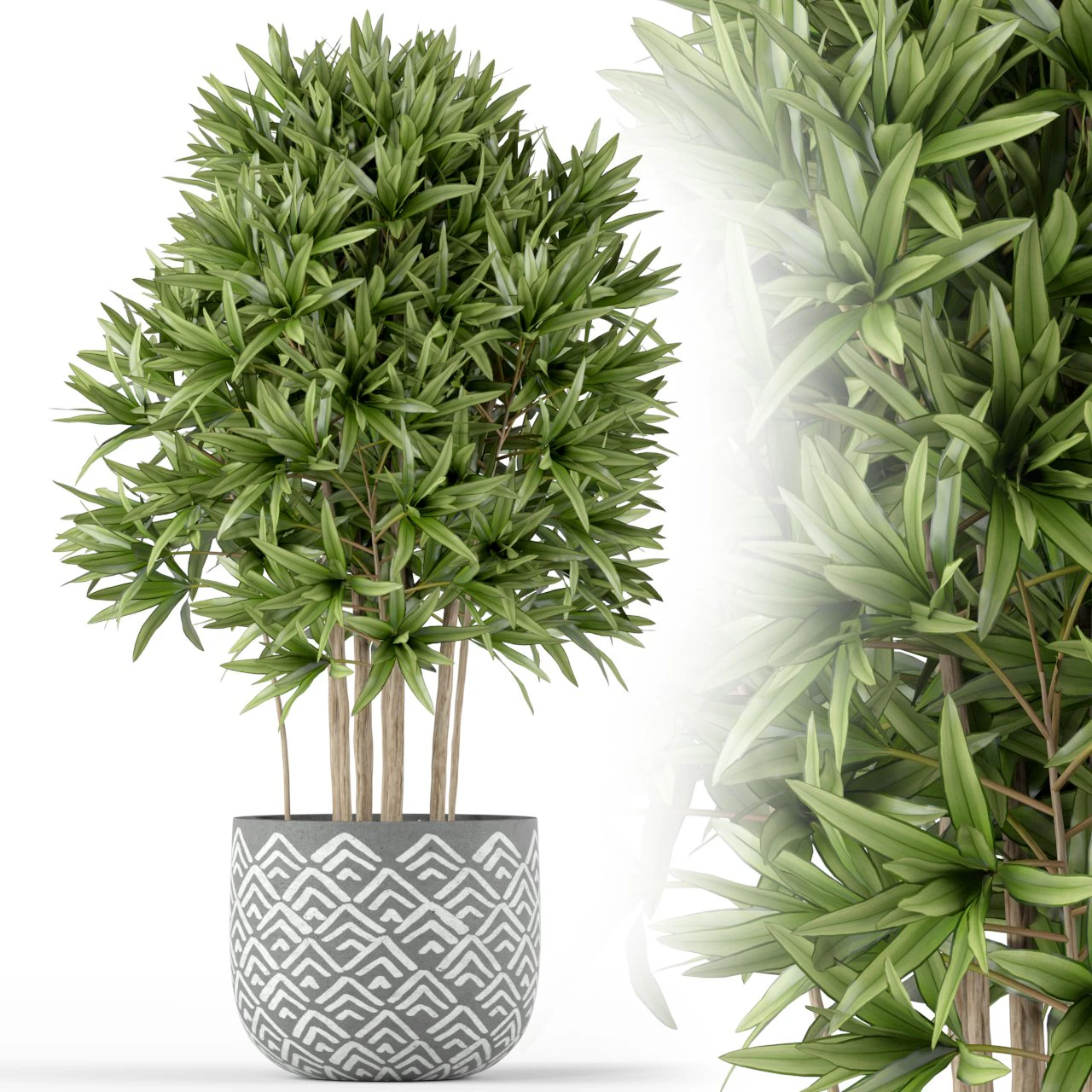 Plants collection 224 3D Model .c4d .max .obj .3ds .fbx .stl .blend 