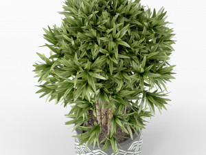 Plants collection 224 3D-Modell